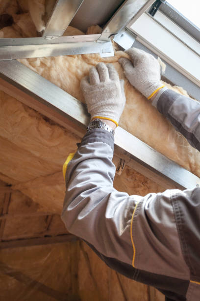 Best Commercial Insulation Contractor  in Dorothy, NJ