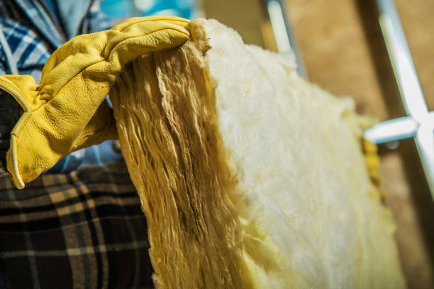 Best Soundproof Insulation Installation  in Dorothy, NJ