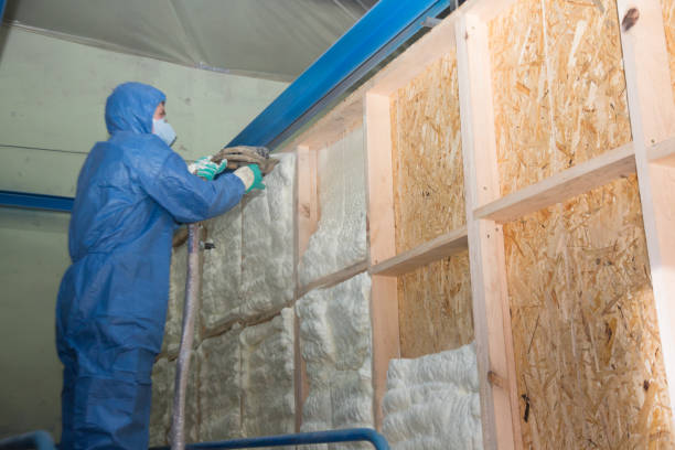 Best Spray Foam Insulation  in Dorothy, NJ
