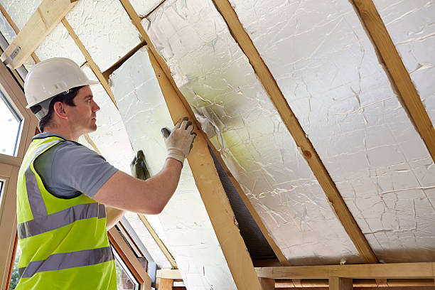 Best Insulation Replacement Services  in Dorothy, NJ