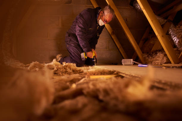 Best Crawl Space Insulation  in Dorothy, NJ